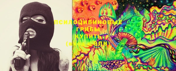 Альфа ПВП Арсеньев