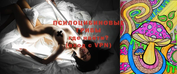 соль ск Аркадак