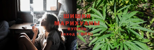 Альфа ПВП Арсеньев