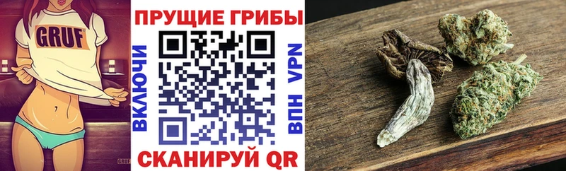 ОМГ ОМГ ONION  Демидов  Галлюциногенные грибы прущие грибы 